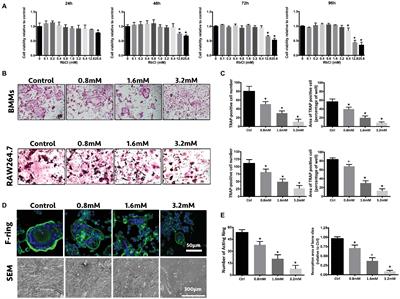 Rubidium Chloride Targets Jnk/p38-Mediated NF-κB Activation to Attenuate Osteoclastogenesis and Facilitate Osteoblastogenesis